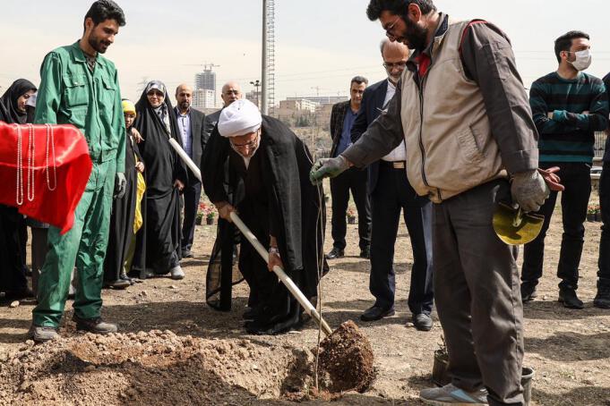 روز درختکاری در دانشگاه علوم پزشکی ایران با حضور رییس و معاونین دانشگاه و مسئولین محلی و انجمن محیط زیست شایان 