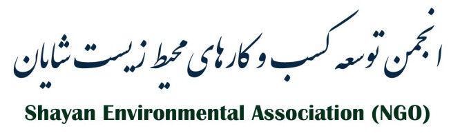 Shaysn Environmental Association (NGO)