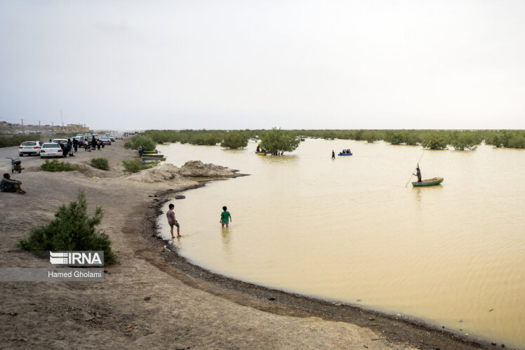 لزوم تدوین قانون حفاظت از محیطزیست دریا/تأمین حقابه تالاب هامون در چارچوب دیپلماسی فعال